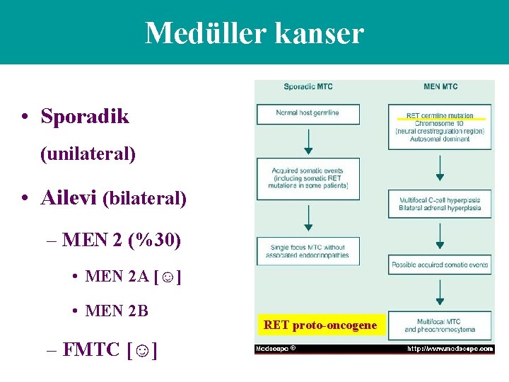 Medüller kanser • Sporadik (unilateral) • Ailevi (bilateral) – MEN 2 (%30) • MEN