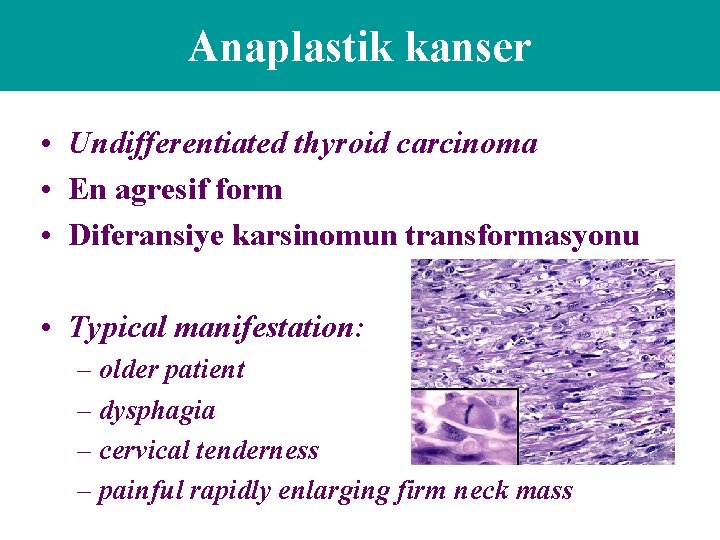 Anaplastik kanser • Undifferentiated thyroid carcinoma • En agresif form • Diferansiye karsinomun transformasyonu