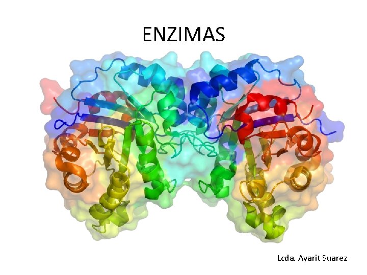 ENZIMAS Lcda. Ayarit Suarez 