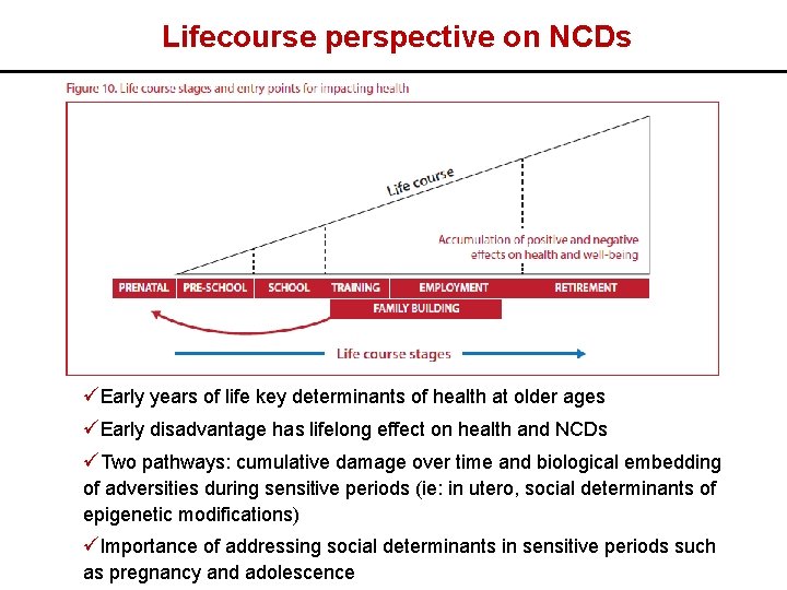 Lifecourse perspective on NCDs üEarly years of life key determinants of health at older