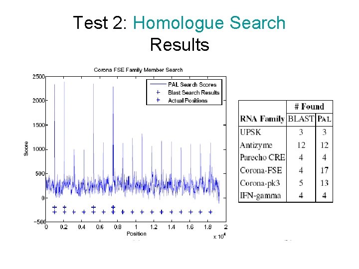 Test 2: Homologue Search Results 