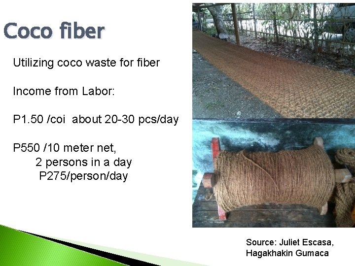 Coco fiber Utilizing coco waste for fiber Income from Labor: P 1. 50 /coi