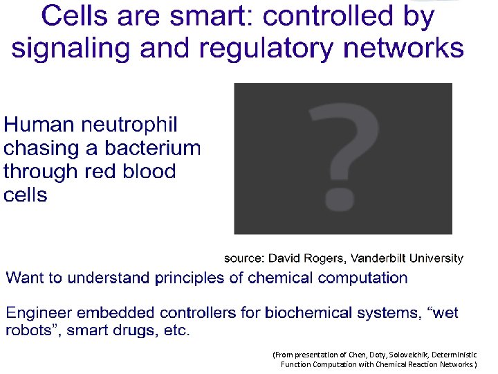 (From presentation of Chen, Doty, Soloveichik, Deterministic Function Computation with Chemical Reaction Networks. )