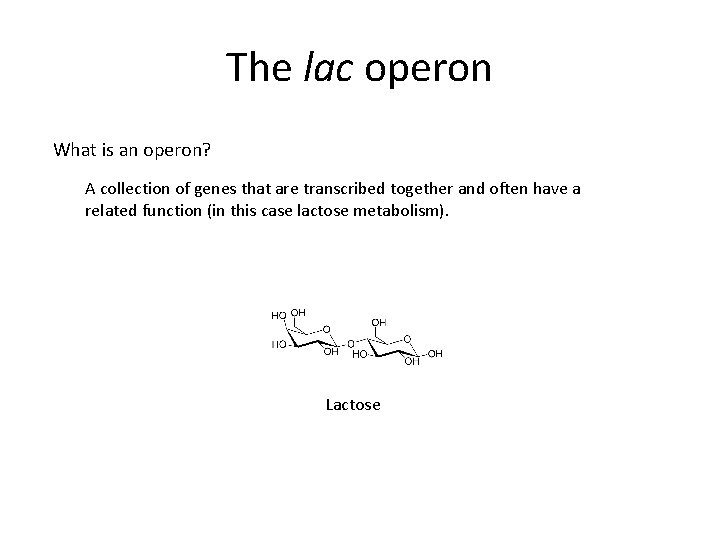 The lac operon What is an operon? A collection of genes that are transcribed