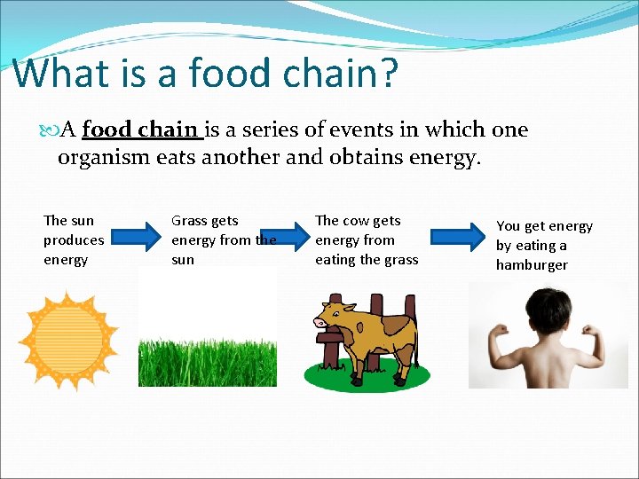 What is a food chain? A food chain is a series of events in
