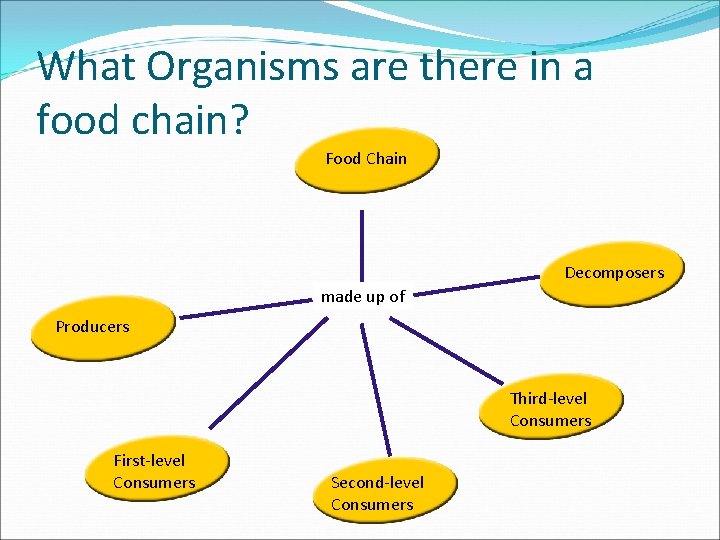 What Organisms are there in a food chain? Food Chain Decomposers made up of