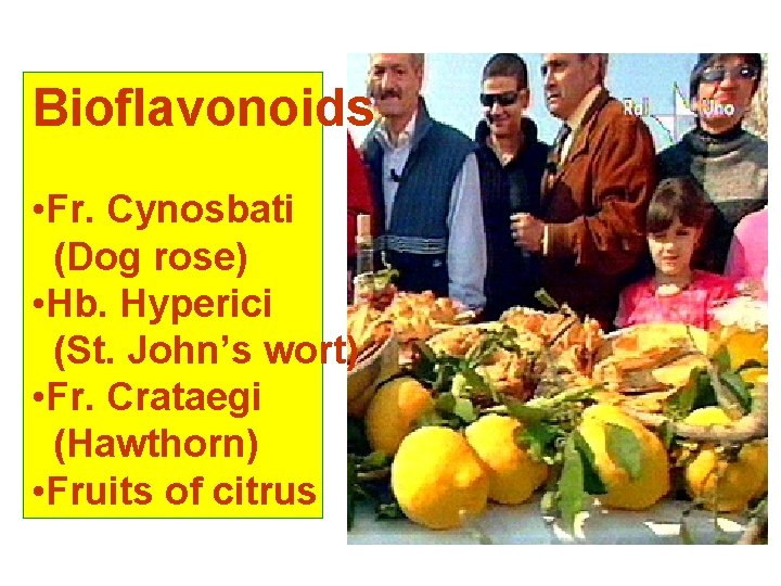 Bioflavonoids • Fr. Cynosbati (Dog rose) • Hb. Hyperici (St. John’s wort) • Fr.