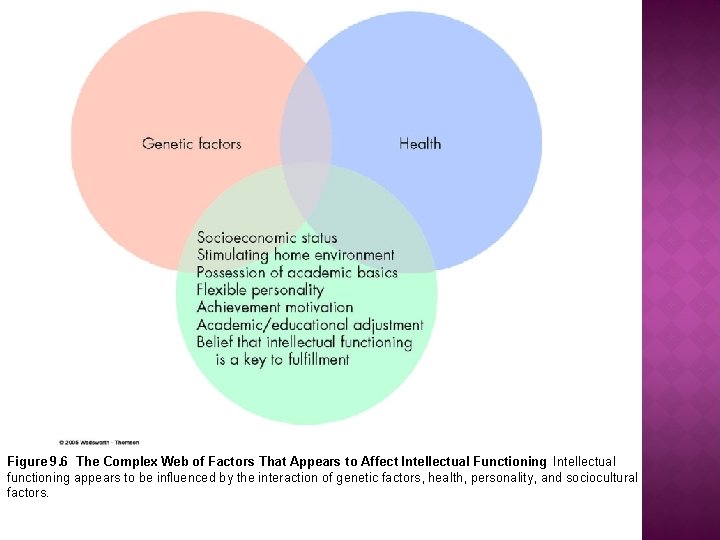 Figure 9. 6 The Complex Web of Factors That Appears to Affect Intellectual Functioning