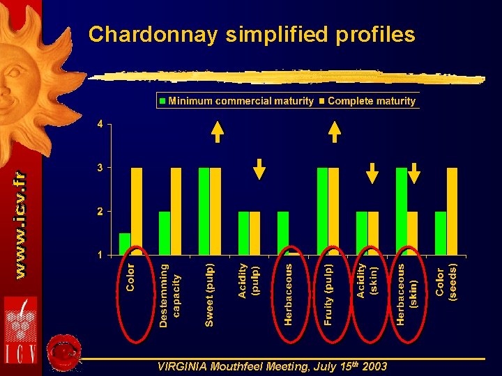 Chardonnay simplified profiles VIRGINIA Mouthfeel Meeting, July 15 th 2003 