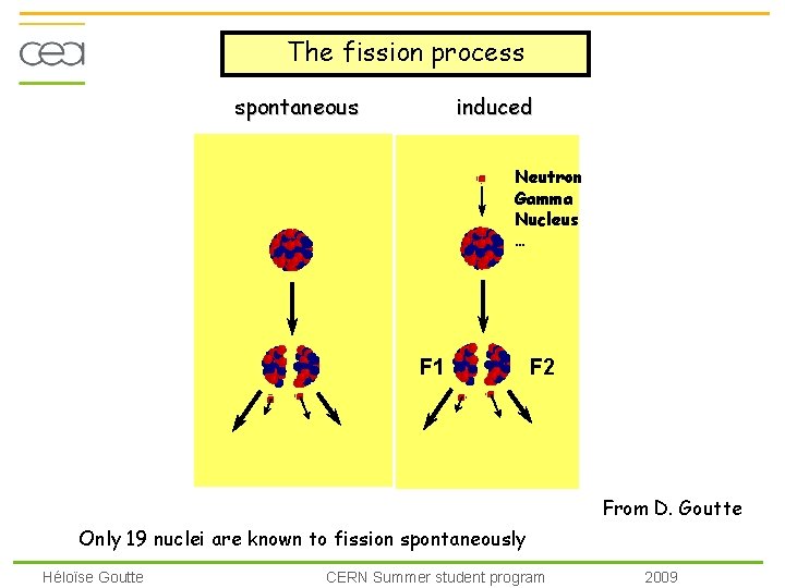 The fission process spontaneous induced Neutron Gamma Nucleus … F 1 F 2 From