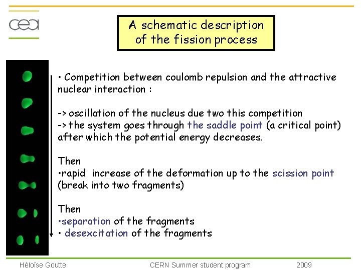 A schematic description of the fission process • Competition between coulomb repulsion and the