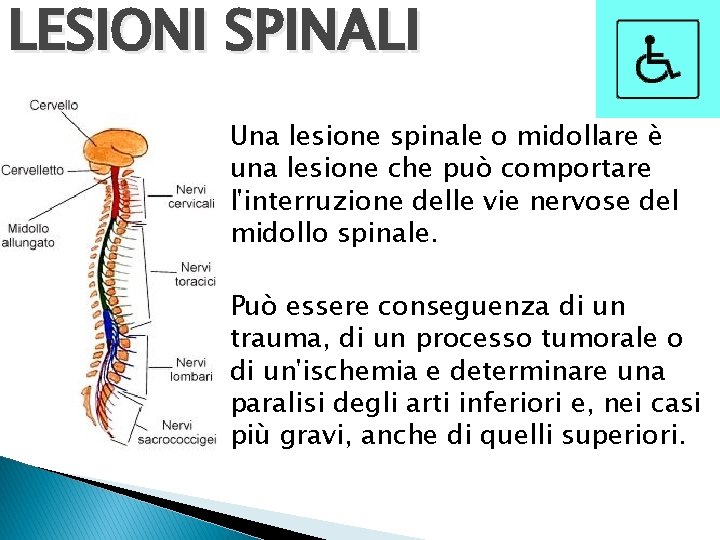 LESIONI SPINALI Una lesione spinale o midollare è una lesione che può comportare l'interruzione