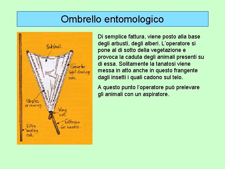 Ombrello entomologico Di semplice fattura, viene posto alla base degli arbusti, degli alberi. L’operatore