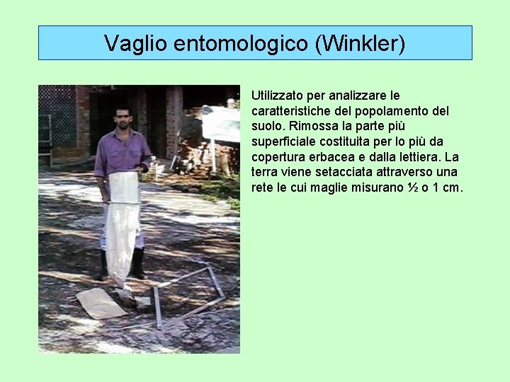 Vaglio entomologico (Winkler) Utilizzato per analizzare le caratteristiche del popolamento del suolo. Rimossa la