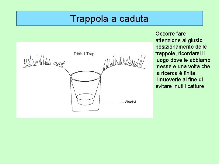 Trappola a caduta Occorre fare attenzione al giusto posizionamento delle trappole, ricordarsi il luogo