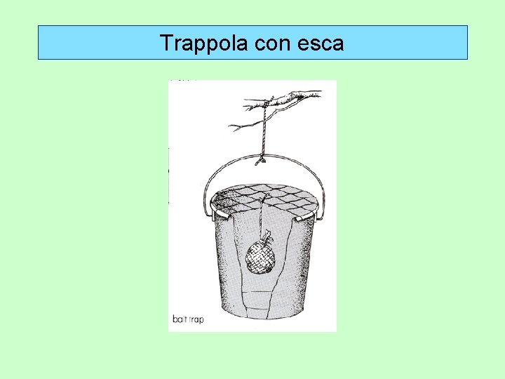 Trappola con esca 