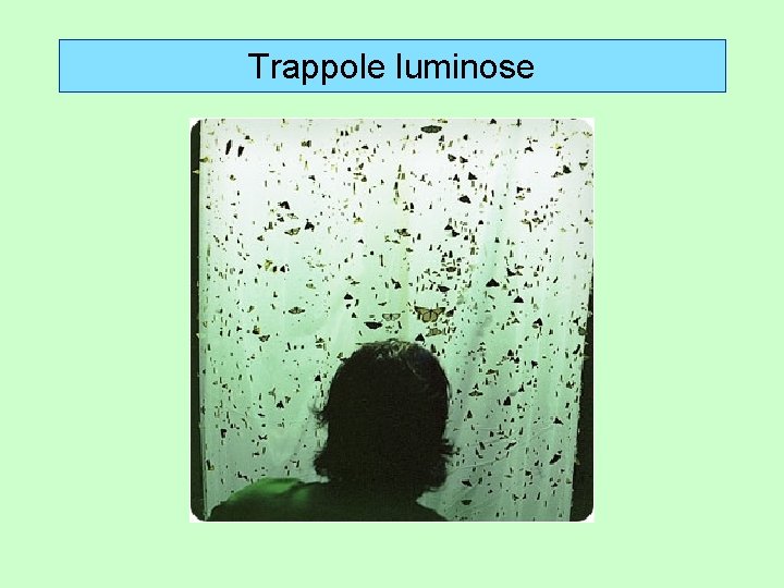 Trappole luminose 