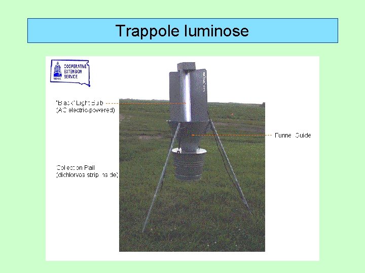 Trappole luminose 