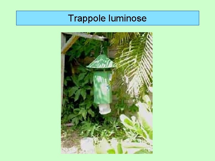 Trappole luminose 