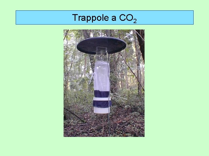 Trappole a CO 2 