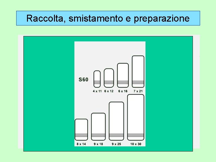 Raccolta, smistamento e preparazione 2. Preparazione b. Coleotteri, emitteri, ecc: grandi dimensioni, spillati; piccole