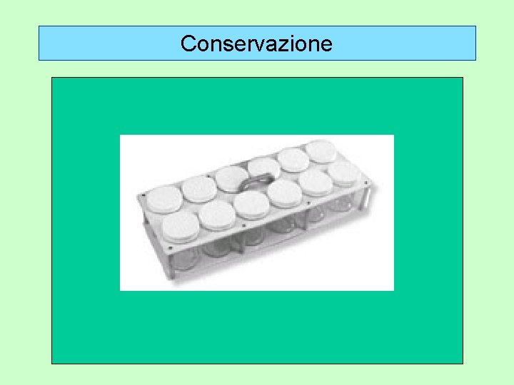 Conservazione a. Materiale cartellinato o spillato e conservato a secco: scatole entomologiche b. Materiale