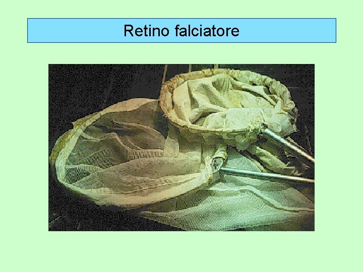 Retino falciatore 