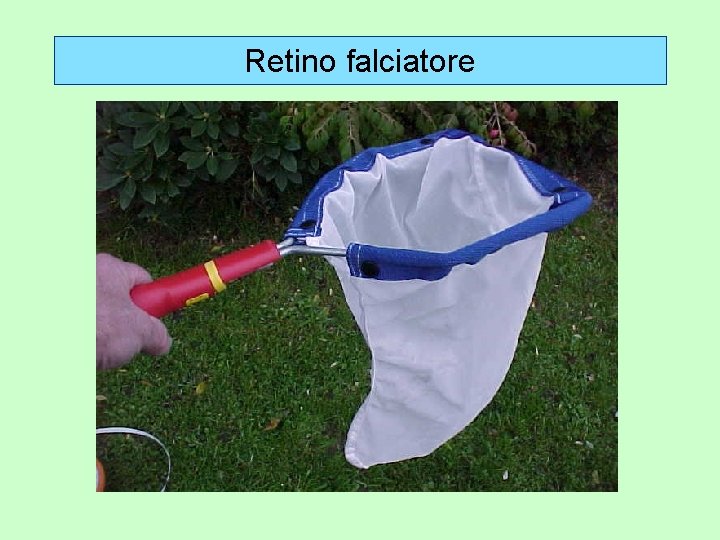 Retino falciatore 