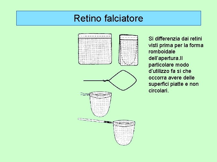 Retino falciatore Si differenzia dai retini visti prima per la forma romboidale dell’apertura. Il