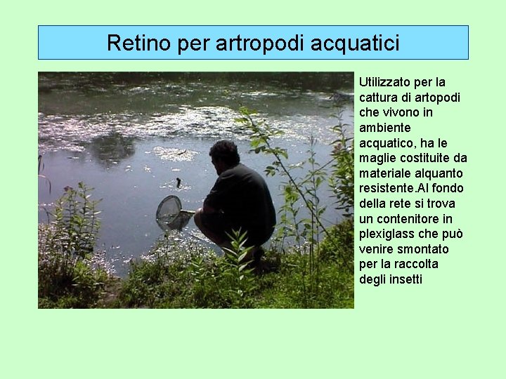 Retino per artropodi acquatici Utilizzato per la cattura di artopodi che vivono in ambiente