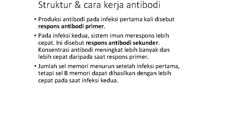 Struktur & cara kerja antibodi • Produksi antibodi pada infeksi pertama kali disebut respons