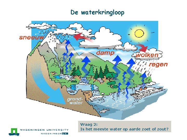 De waterkringloop Vraag 2: Is het meeste water op aarde zoet of zout? 