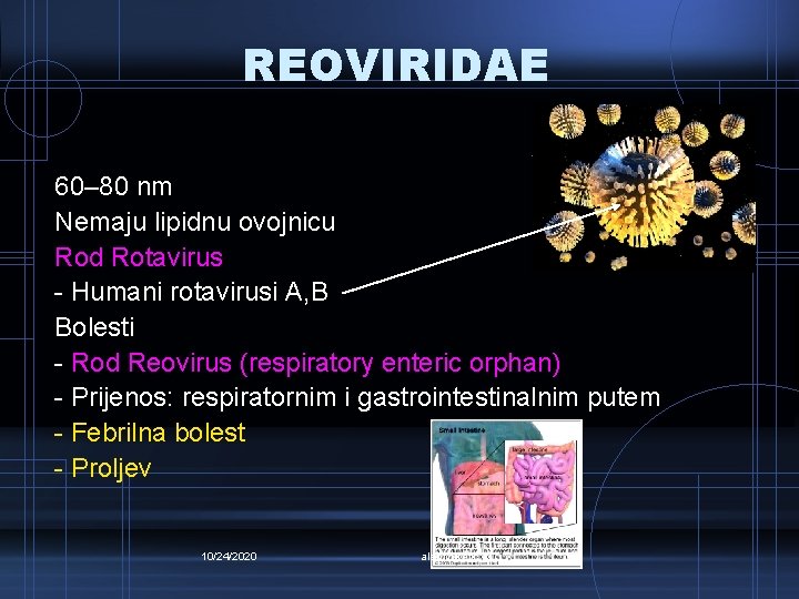 REOVIRIDAE 60– 80 nm Nemaju lipidnu ovojnicu Rod Rotavirus - Humani rotavirusi A, B