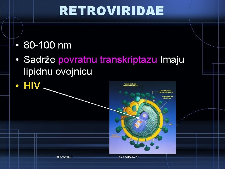 RETROVIRIDAE • 80 -100 nm • Sadrže povratnu transkriptazu Imaju lipidnu ovojnicu • HIV