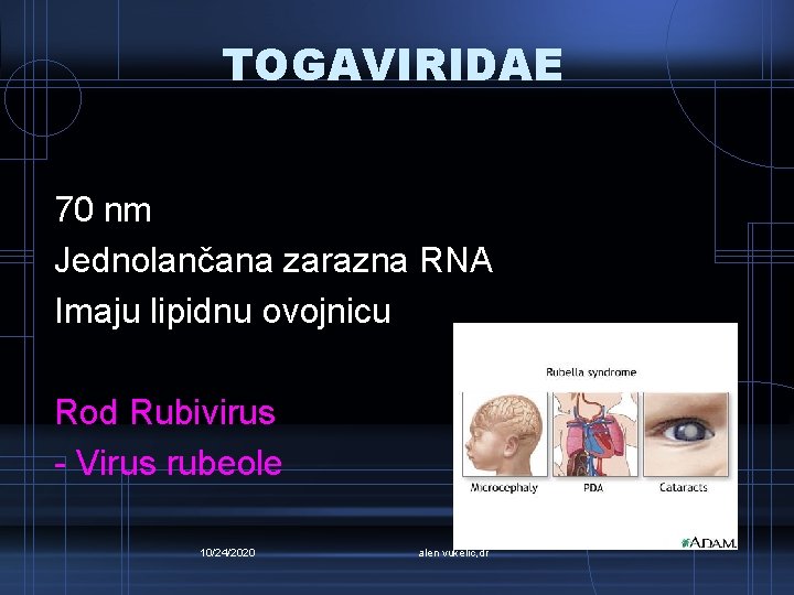 TOGAVIRIDAE 70 nm Jednolančana zarazna RNA Imaju lipidnu ovojnicu Rod Rubivirus - Virus rubeole