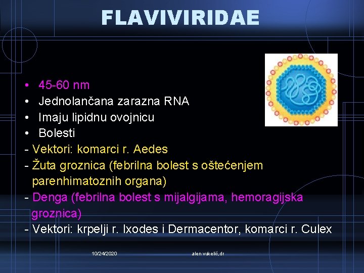 FLAVIVIRIDAE • 45 -60 nm • Jednolančana zarazna RNA • Imaju lipidnu ovojnicu •