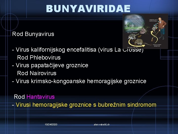 BUNYAVIRIDAE Rod Bunyavirus - Virus kalifornijskog encefalitisa (virus La Crosse) Rod Phlebovirus - Virus