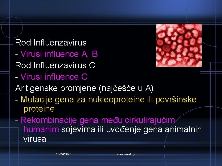 Rod Influenzavirus - Virusi influence A, B Rod Influenzavirus C - Virusi influence C