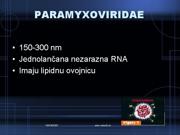 PARAMYXOVIRIDAE • 150 -300 nm • Jednolančana nezarazna RNA • Imaju lipidnu ovojnicu 10/24/2020