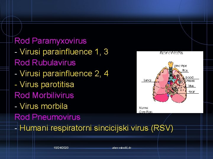 Rod Paramyxovirus - Virusi parainfluence 1, 3 Rod Rubulavirus - Virusi parainfluence 2, 4