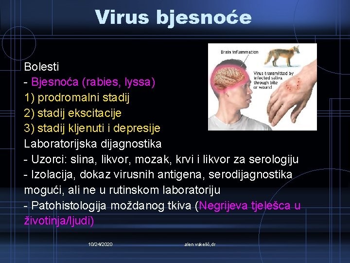 Virus bjesnoće Bolesti - Bjesnoća (rabies, lyssa) 1) prodromalni stadij 2) stadij ekscitacije 3)