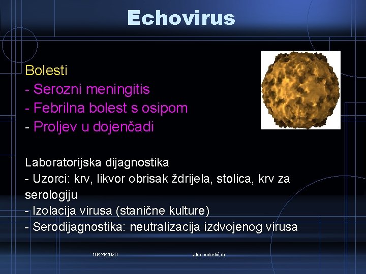 Echovirus Bolesti - Serozni meningitis - Febrilna bolest s osipom - Proljev u dojenčadi