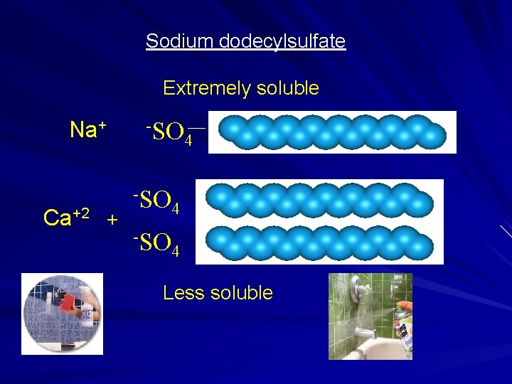 Sodium dodecylsulfate Extremely soluble Na+ Ca+2 + -SO 4 4 Less soluble 