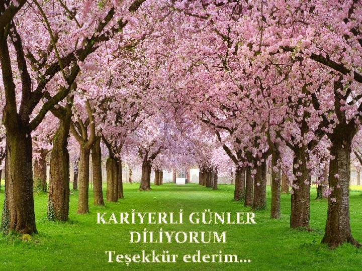 KARİYERLİ GÜNLER DİLİYORUM Teşekkür ederim… 