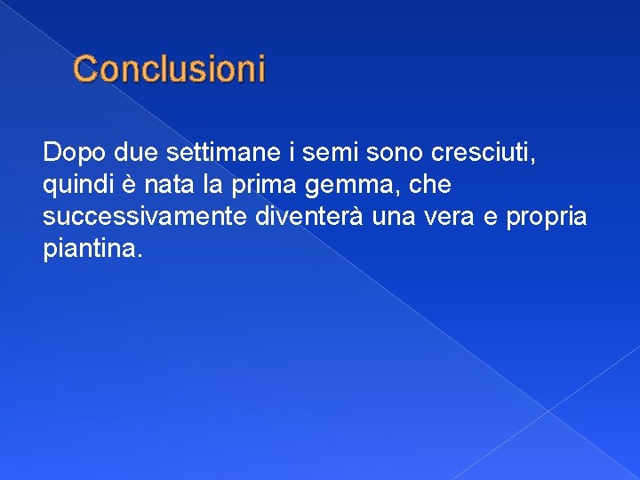 Conclusioni Dopo due settimane i semi sono cresciuti, quindi è nata la prima gemma,