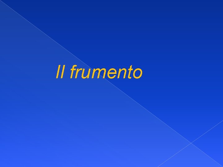 Il frumento 