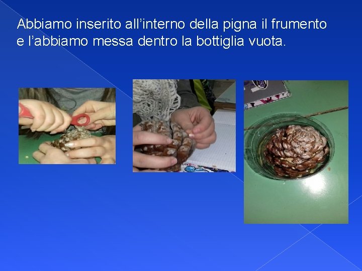 Abbiamo inserito all’interno della pigna il frumento e l’abbiamo messa dentro la bottiglia vuota.