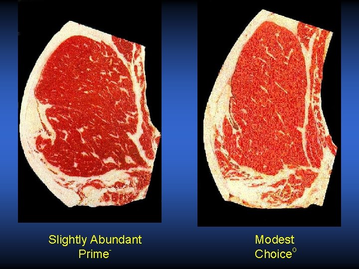 Slightly Abundant Prime- Modest Choiceo Slightly Abundant Prime- Modest Choiceo