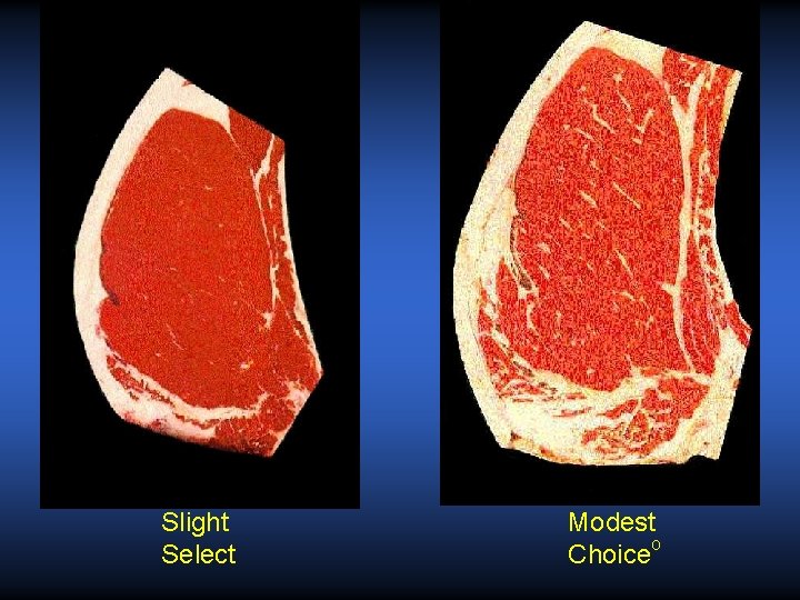 Slight Select Modest Choiceo Slight Select Modest Choiceo