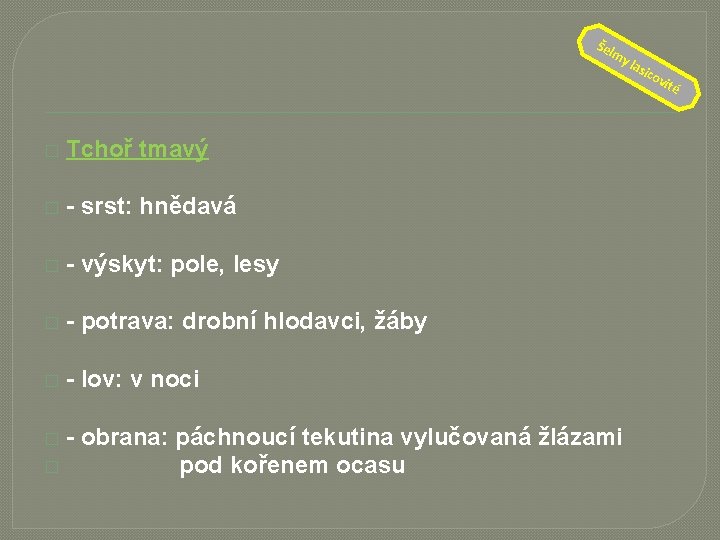 Šel � Tchoř tmavý � - srst: hnědavá � - výskyt: pole, lesy �